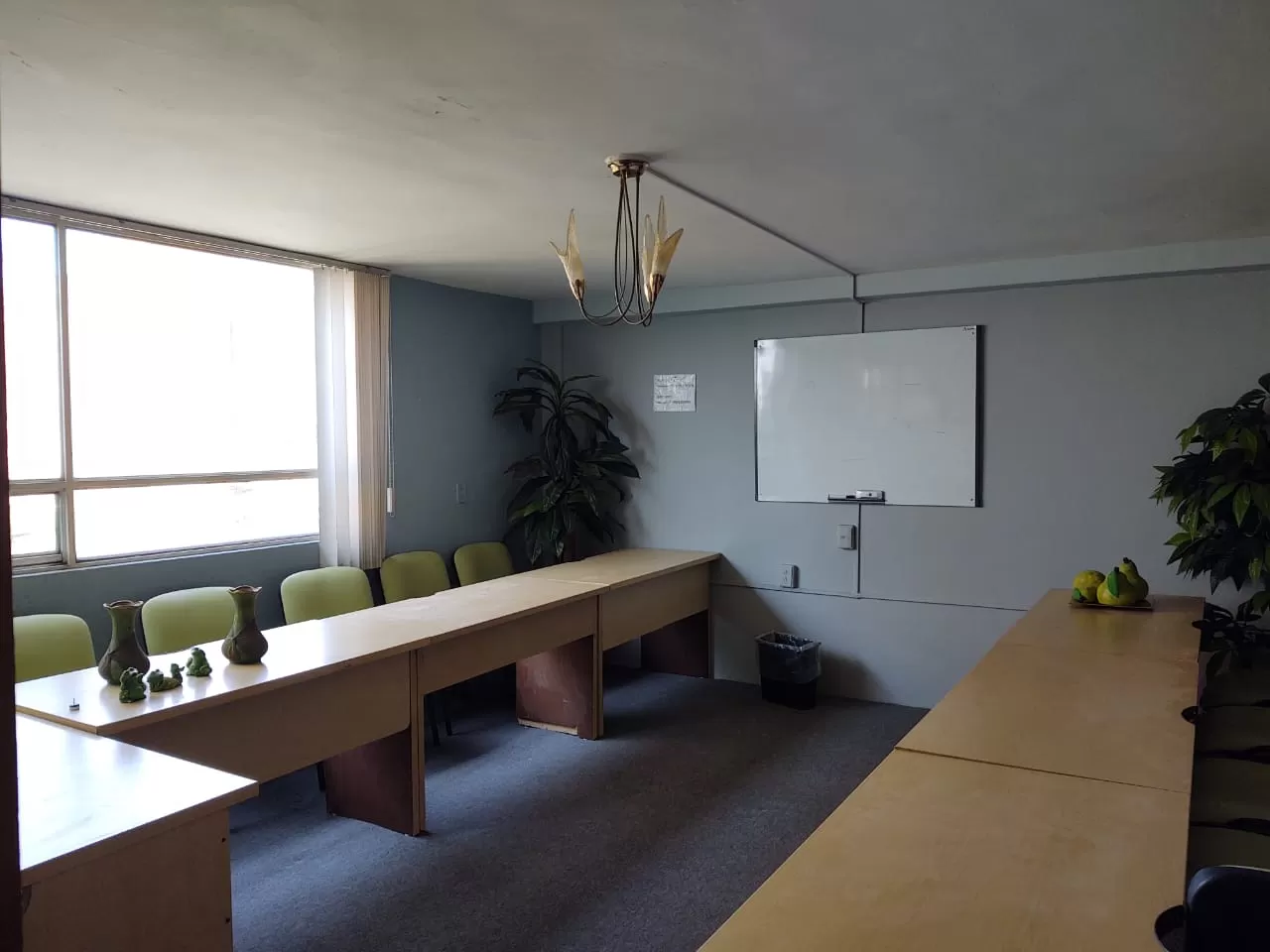  TU OFICINA IDEAL EN ECHEG